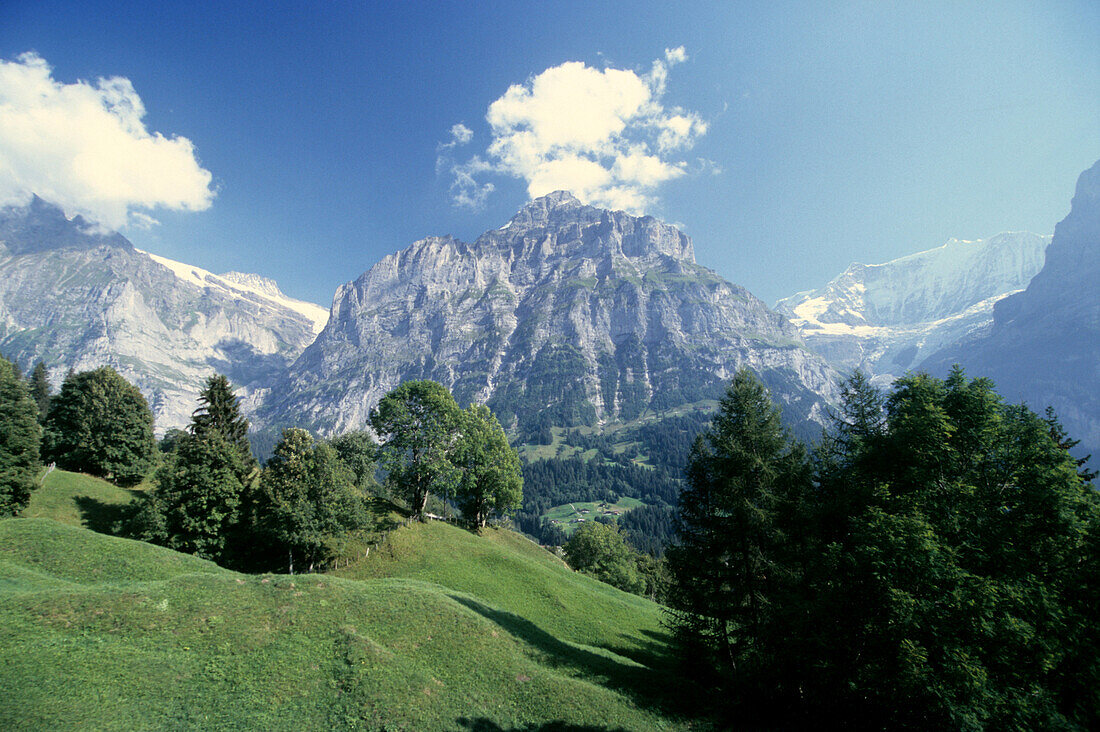 View over Grindelwald with Finsteraarhorn, highest mountain in the Bernese Alps and Mettenberg, Bernese Oberland, Switzerland