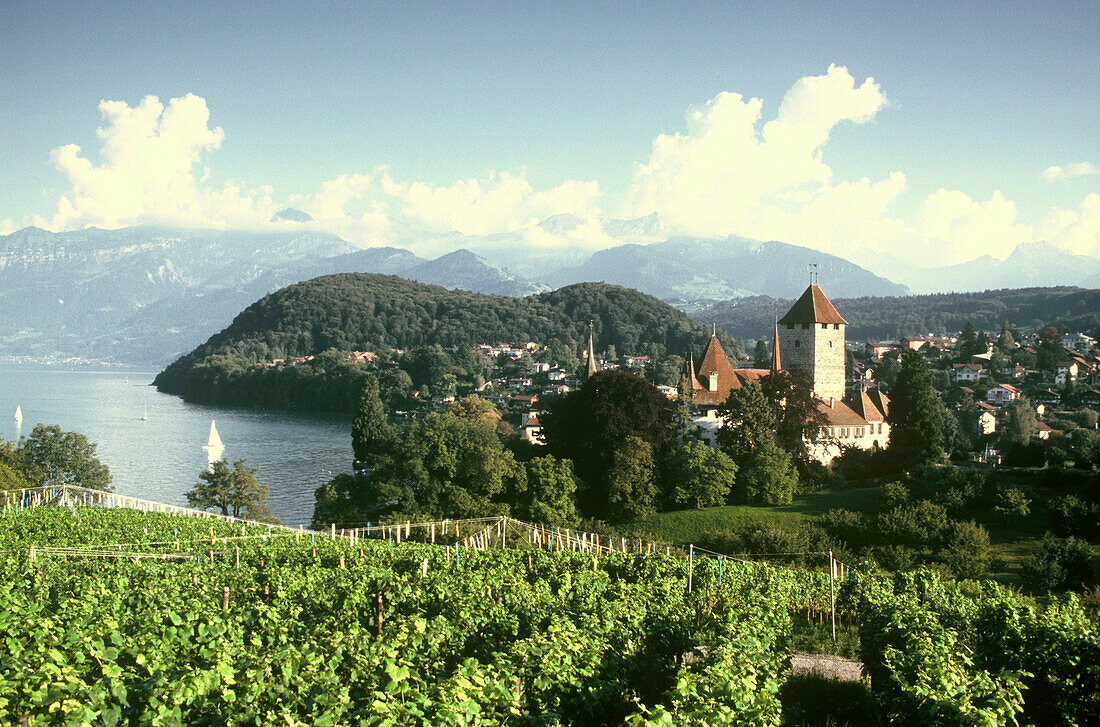 Spiez mit Schloss Spiez am Thuner See, Berner Oberland, Schweiz