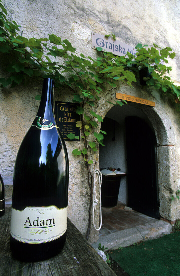 Weinkeller in der Burg von Bled, Slowenien