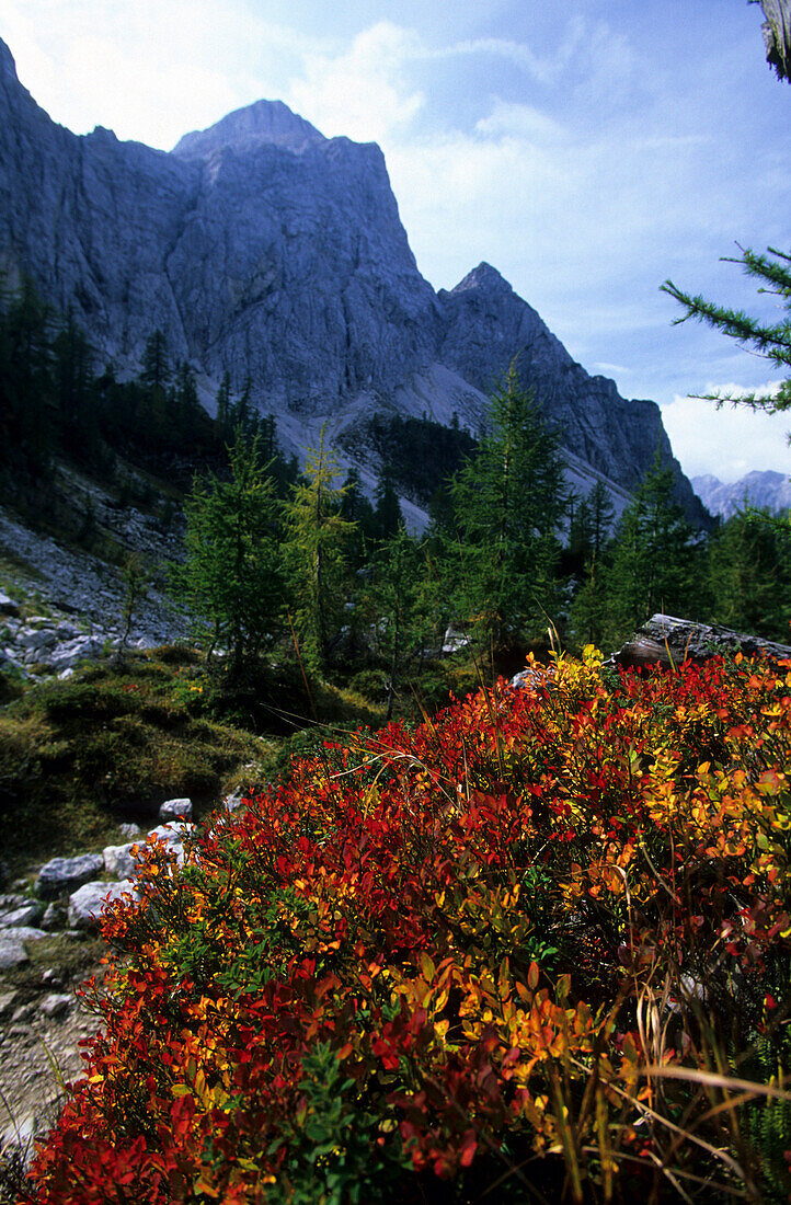 Triglav National Park near Vrsic Pass, Slovenia