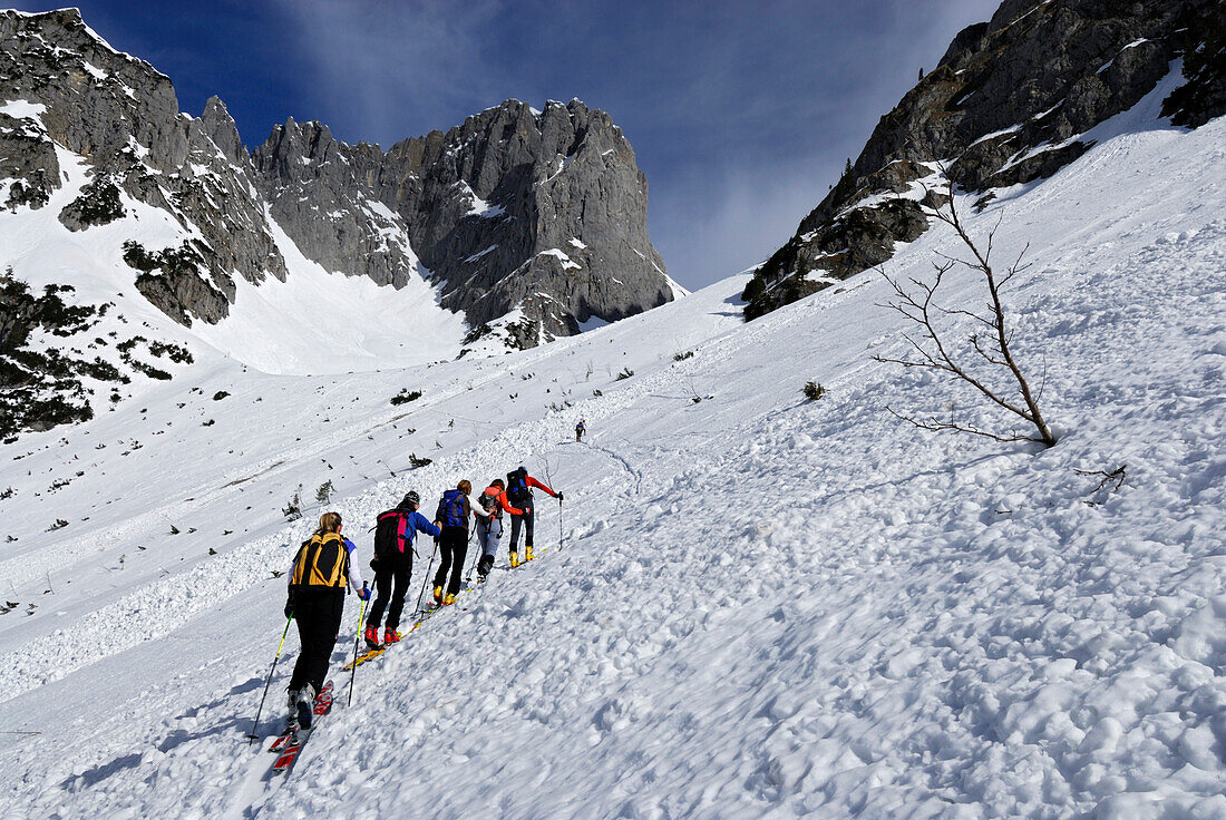 Backcountry skiers ascending to Ellmauer Tor, Kuebelkar, Wilder Kaiser, Kaiser range, Tyrol, Austria