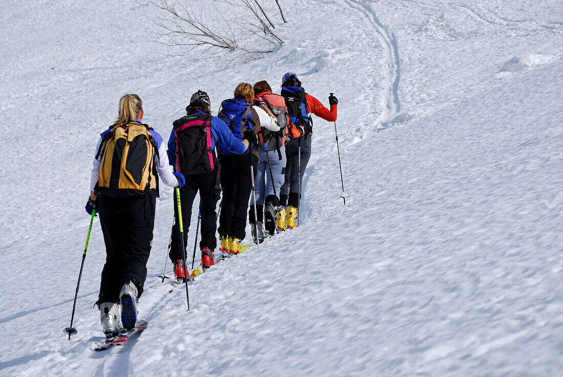 Skitourengeher im Aufstieg zum Ellmauer Tor, Kübelkar, Wilder Kaiser, Kaisergebirge, Tirol, Österreich