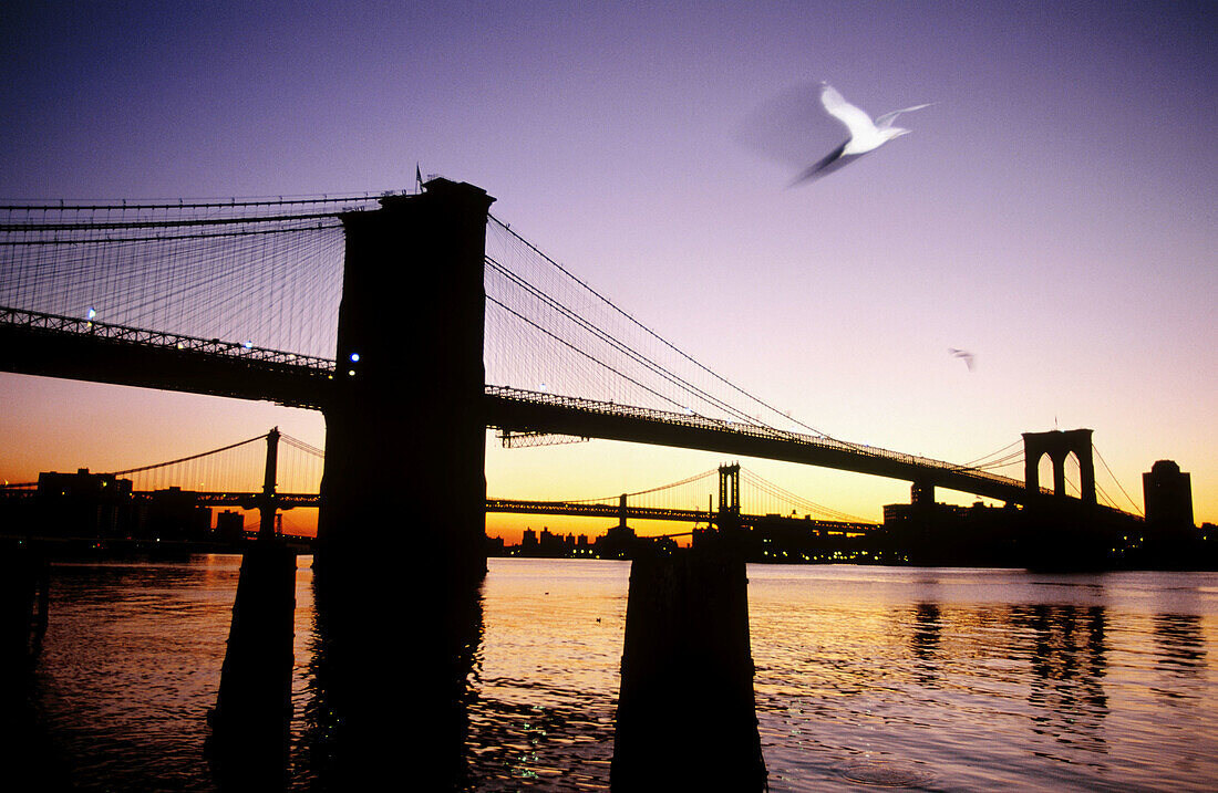 Brooklyn Bridge in New York City, USA