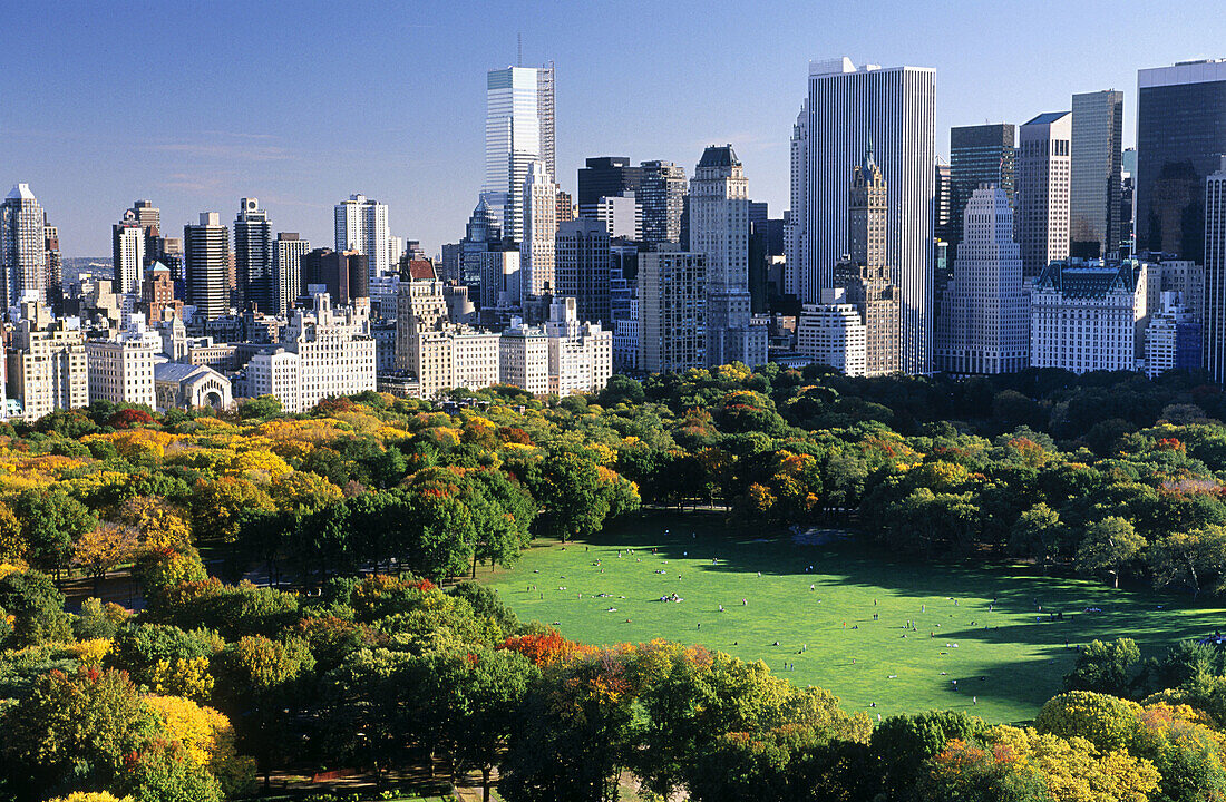 Central Park and buildings in Manhattan, New York City. USA