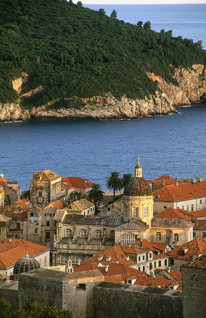 Dubrovnik and Lokrum Island. Dalmatia. Croatia.