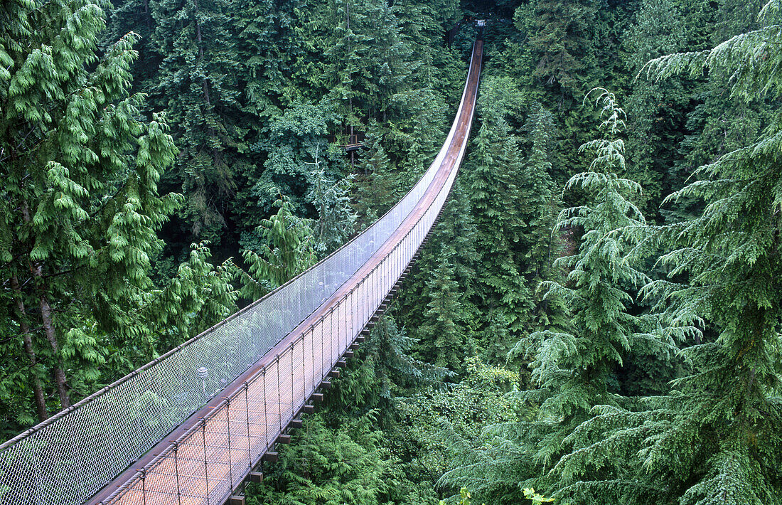 Capilano suspension bridge. Vancouver. British Columbia. Canada.