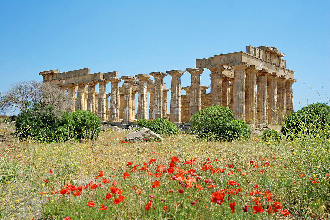 Selinunte. Ruins of Greek temple from seventh century BC. Province of Trapani. Sicily. Italy.