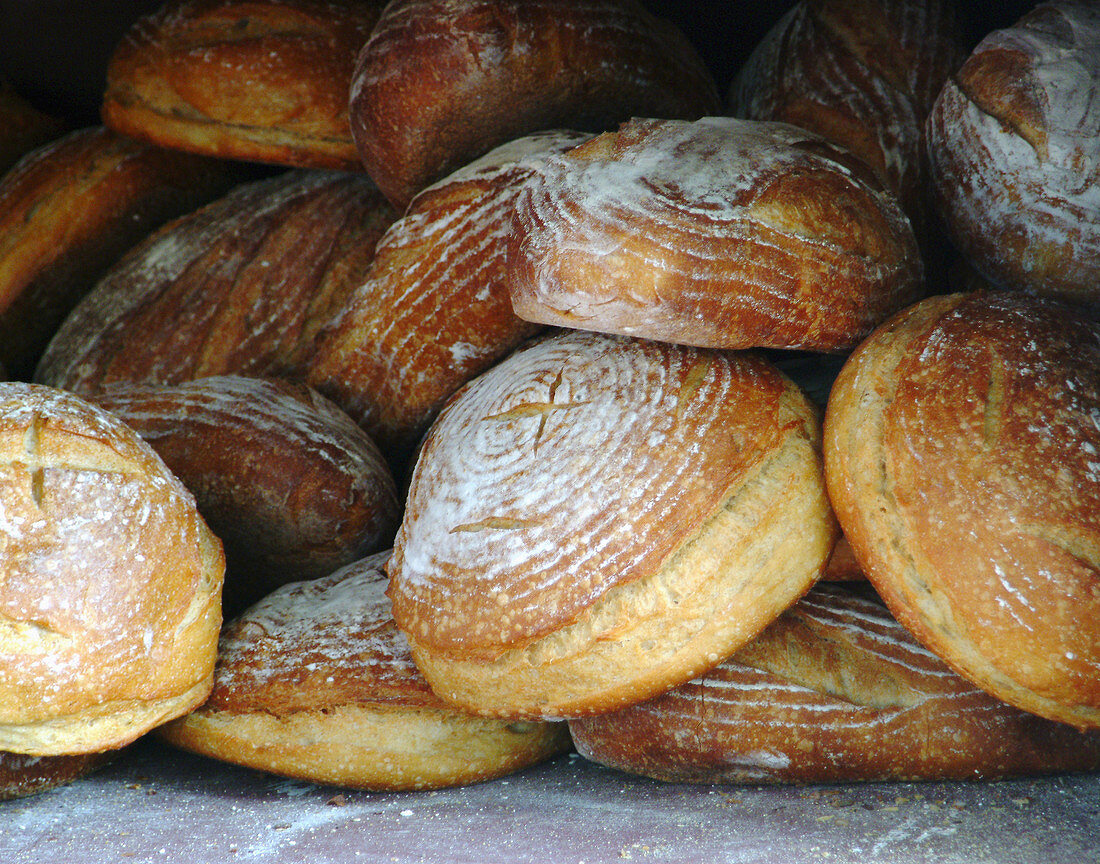 Peasant bread at the Farmers Market, Union Square. New York City, USA