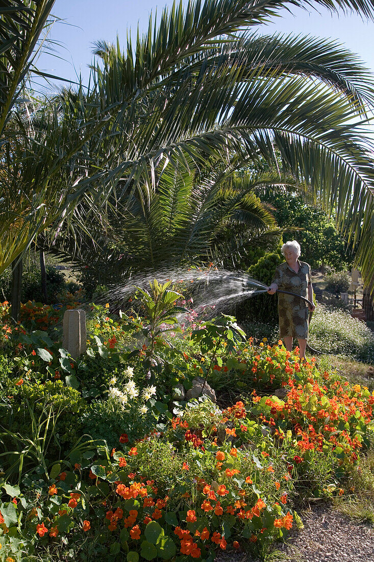 Frau bewässert Garten am Na Set Centes Agroturismo Finca Hotel, nahe Arta, Mallorca, Balearen, Spanien, Europa