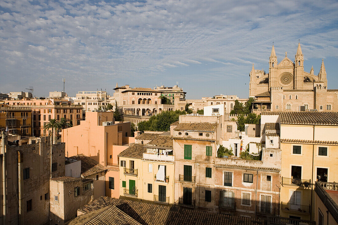 Altstadt und Kathedrale La Seu, Blick von Hotel Tres Dachterrasse, Palma, Mallorca, Balearen, Spanien, Europa