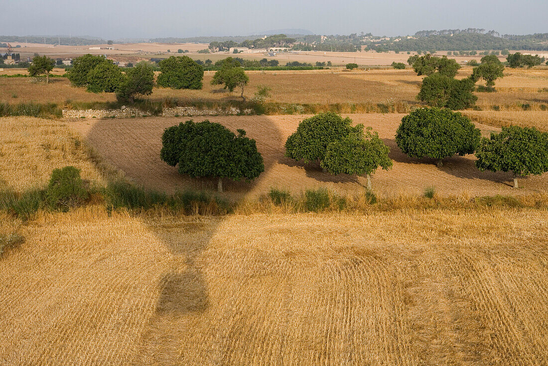 Mallorca Balloons Hot Air Balloon Shadow on Field, Near Manacor, Mallorca, Balearic Islands, Spain