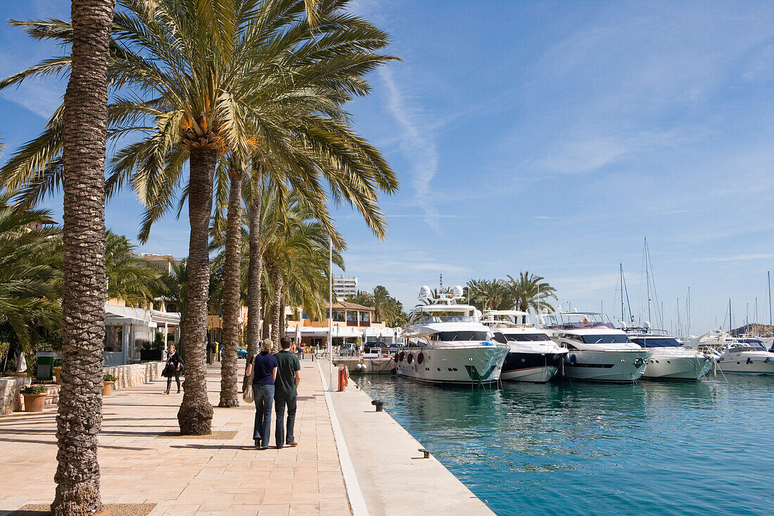 Palm Lined Promenade and Luxury Yachts at Puerto Portals Marina, Puerto Portals, Mallorca, Balearic Islands, Spain