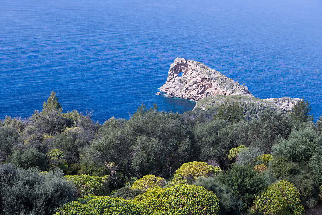 Coastline at Son Marroig Mansion, Deia, Mallorca, Balearic Islands, Spain