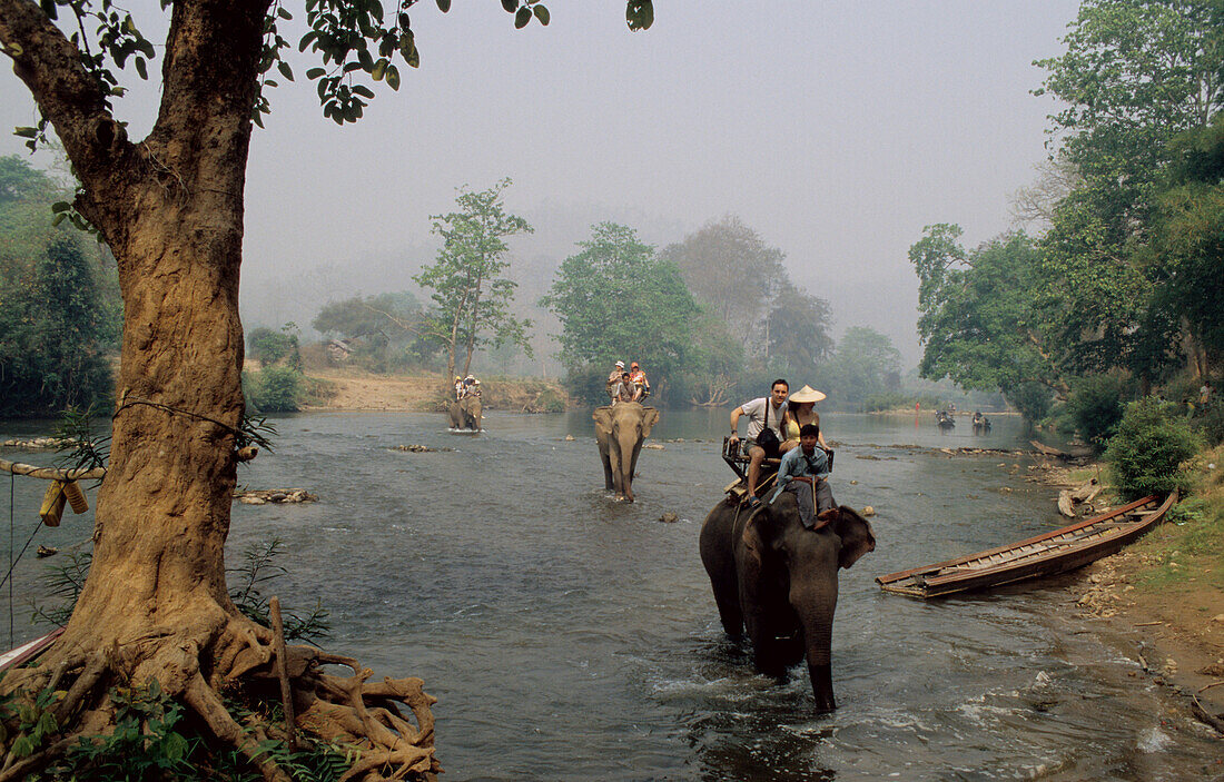 Elephant trekking at Pai river near Mae Hong Son, North Thailand, Thailand