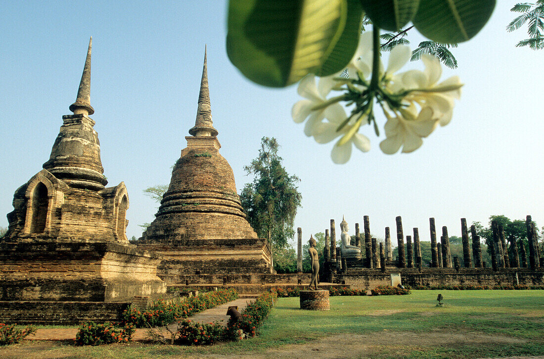 Wat Sra Si temple, Old Sukhothai, North Thailand, Thailand