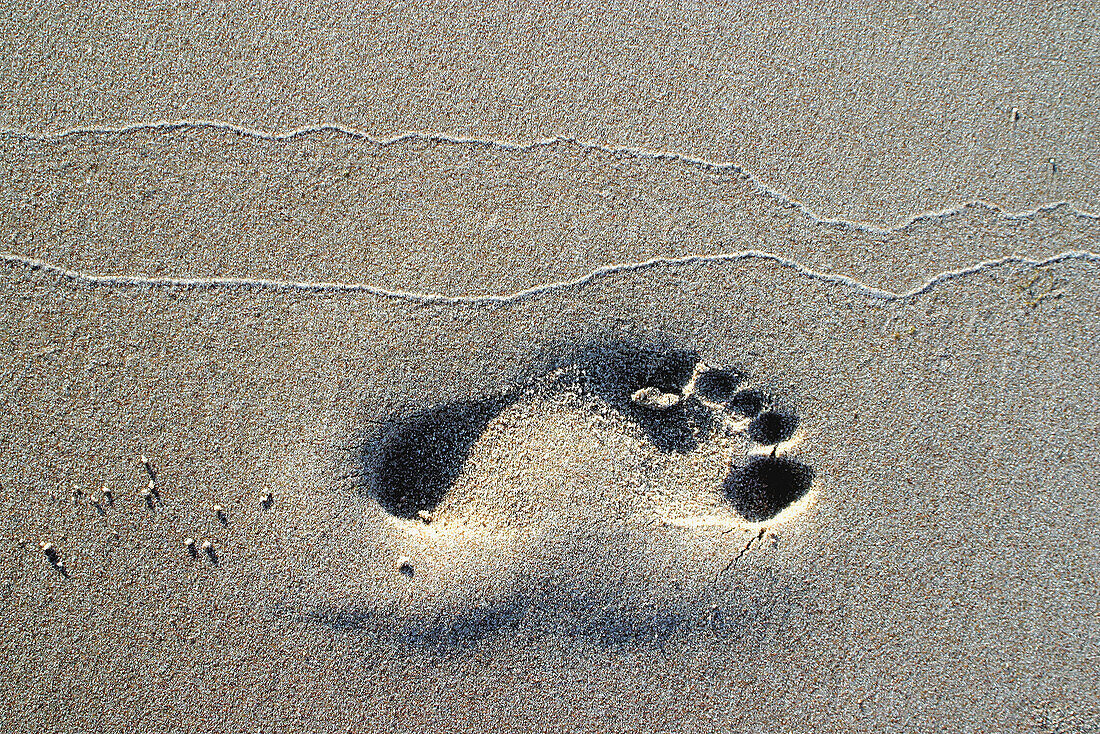 Footprint