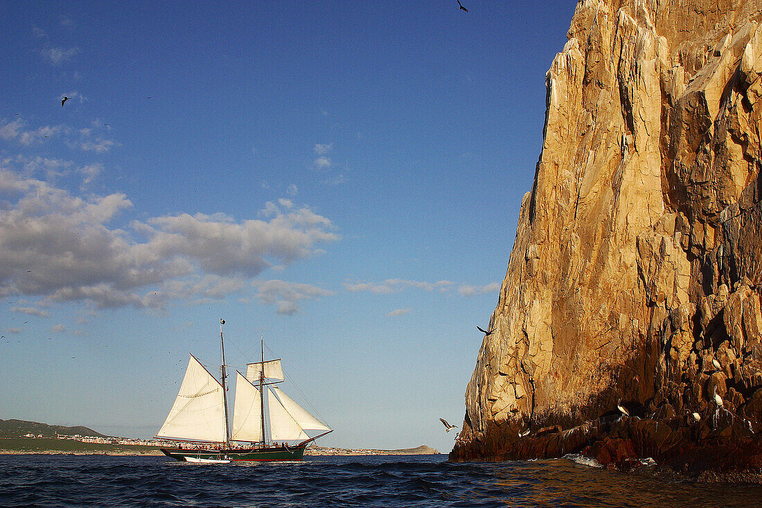 Sailing ship at Los Cabos. Baja California Sur, Mexico