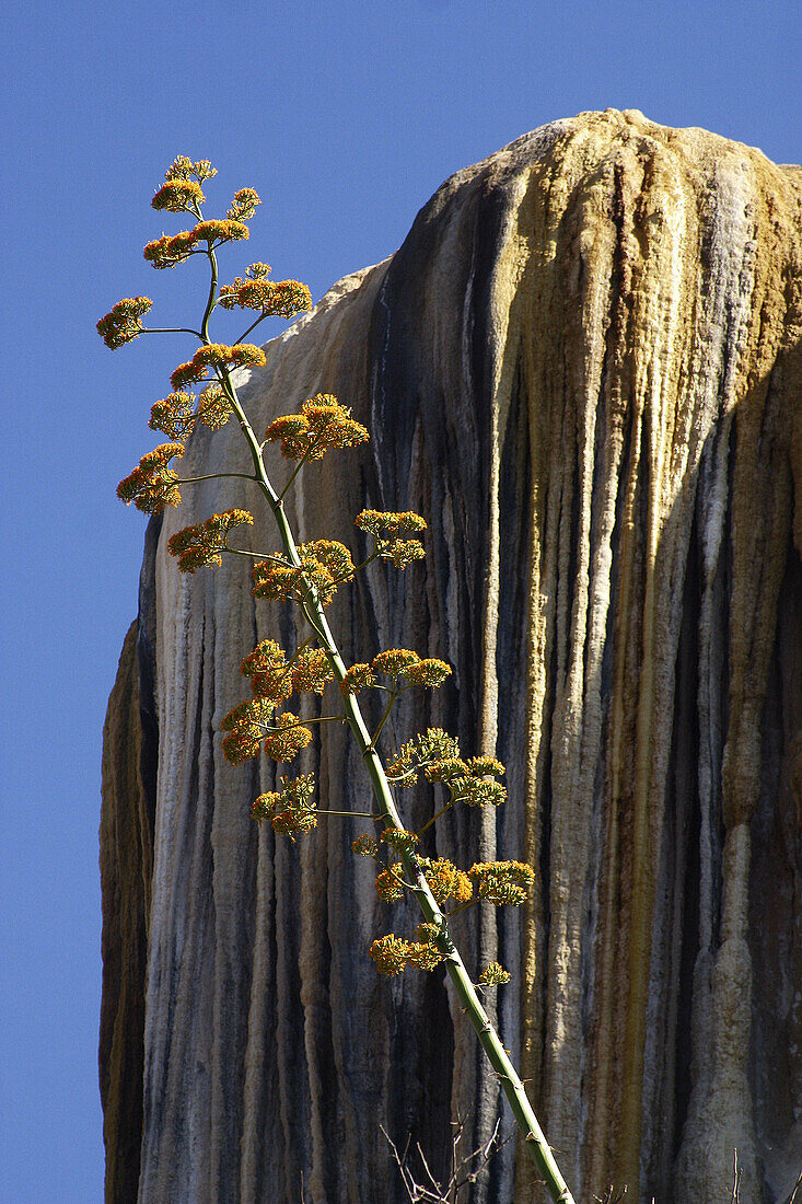 Hierve el agua (the water boils), petrified waterfall, Oaxaca, Mexico