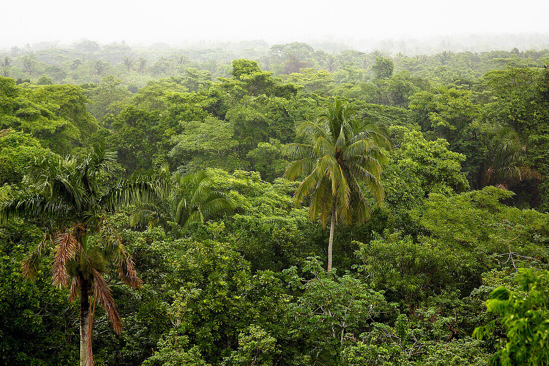 Comalcalco. Tabasco, Mexico