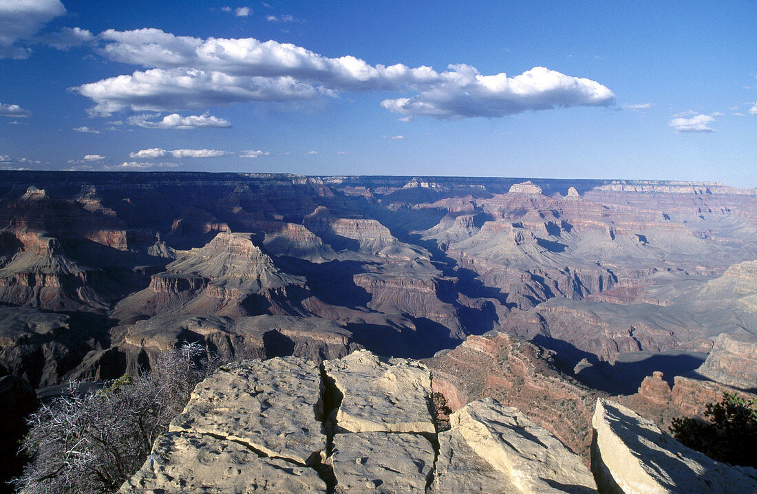 Colorado Canyon. Arizona. USA.