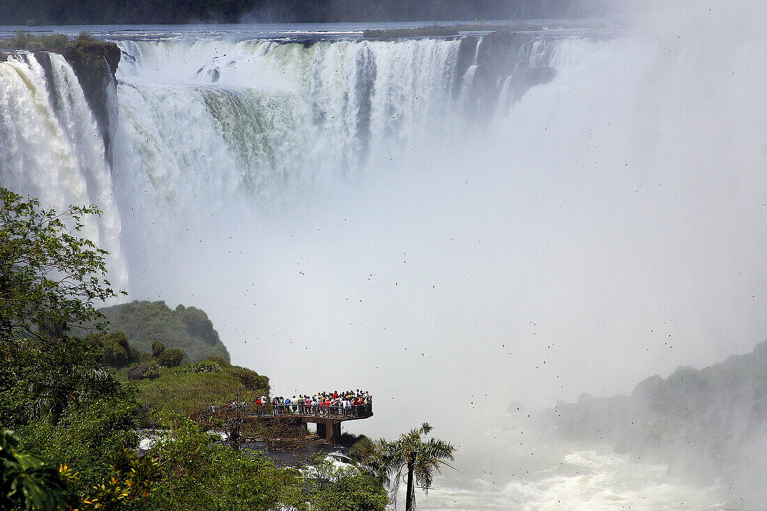 Iguazu Falls. Argentina.