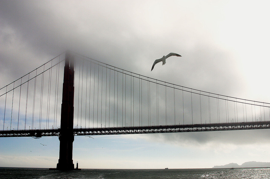 Golden gate bridge. San Francisco. USA.