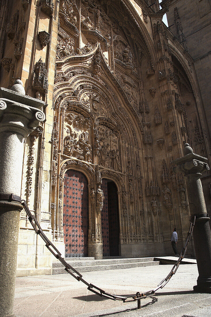 Main entrance to cathedral, Salamanca. Castilla-León, Spain