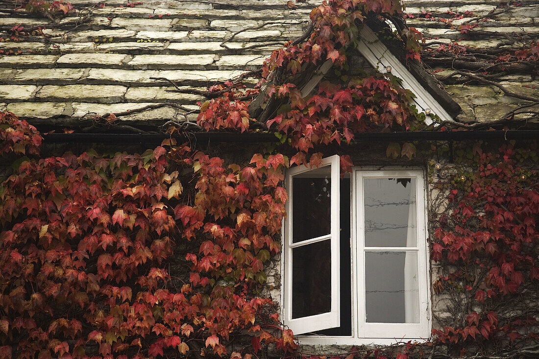 Home detail in Swanage in the Jurassic coast of England, UK