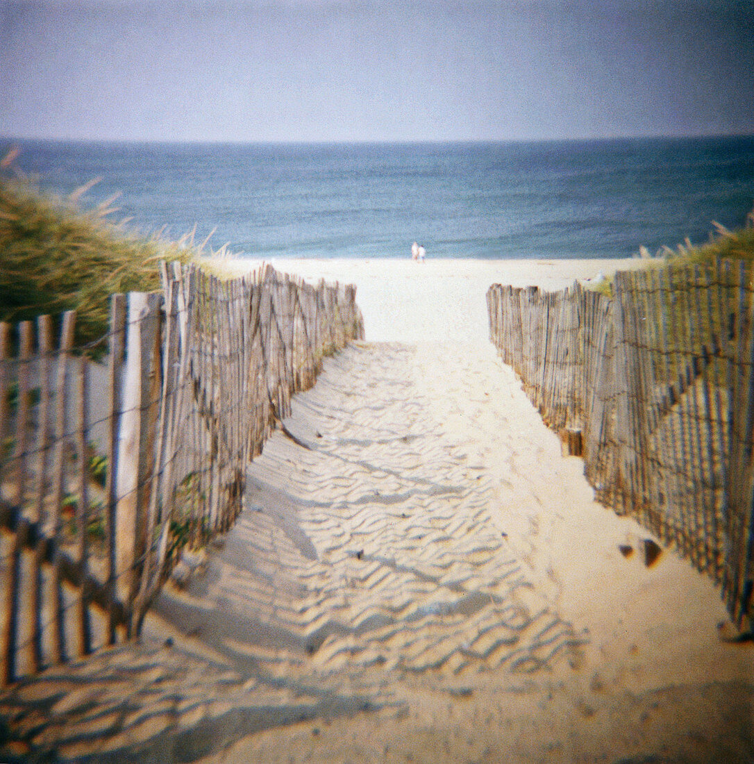 Beach on the Cape Cod national seashore, near Truro. Massachusetts, USA