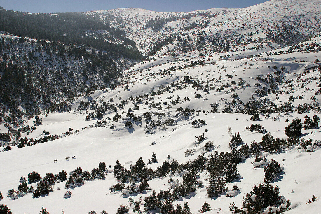 Urbión mountain range. Soria. Spain