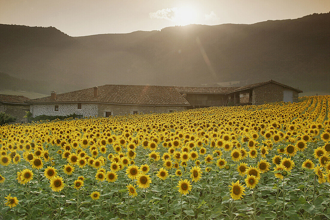 Luna village in Cuartango valley. Basque country