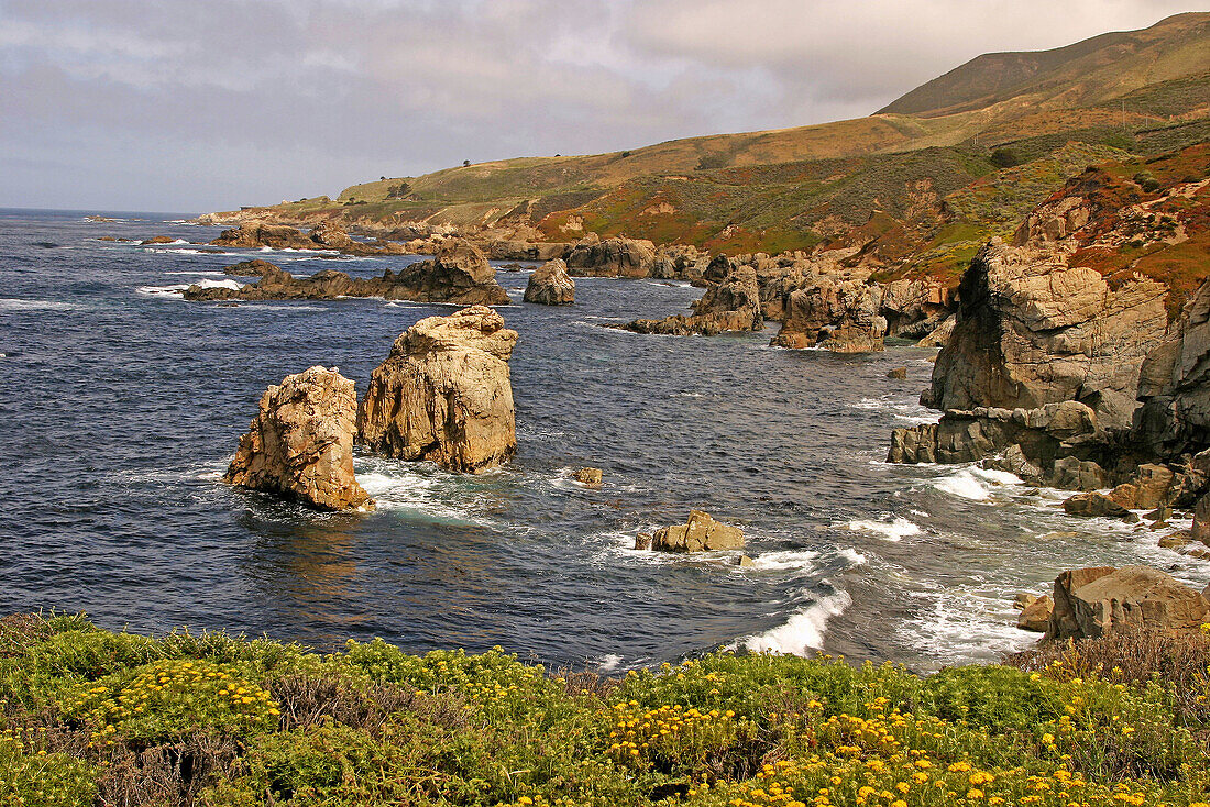 Garrapata State Park area along the Pacific Coast Highway in California during the springtime