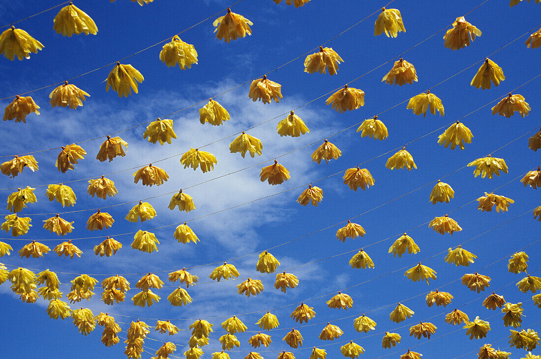 Background, Celebration, Cloud, Color, Colour, Europe, Festival, Festive, Flowers, France, Religion, Religious, Sky, South, Texture, M12-457915, agefotostock