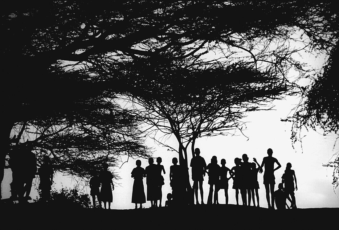 Silhouettes near Tana River. Kenya