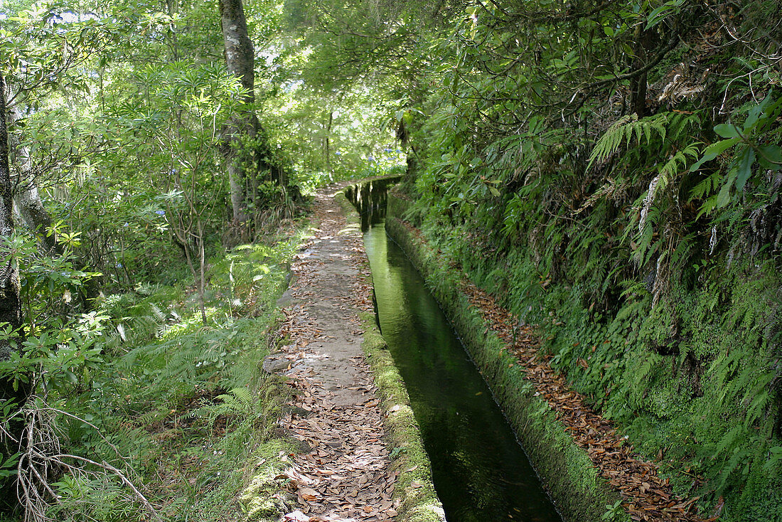 Levada do Norte (irrigation canal). Boca da Encumeada. Folhadal. Madeira. Portugal.