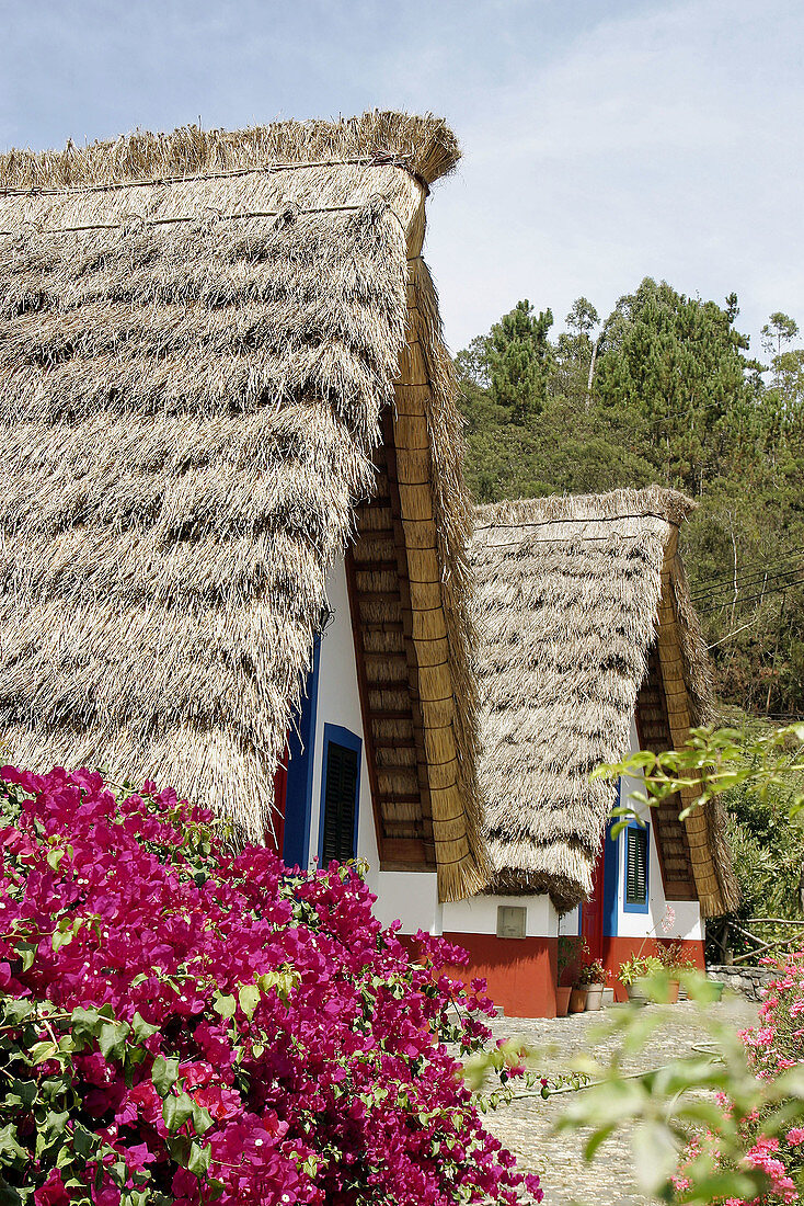 Typical Casa de Colmo (thatched roof house). Santana. Madeira. Portugal.