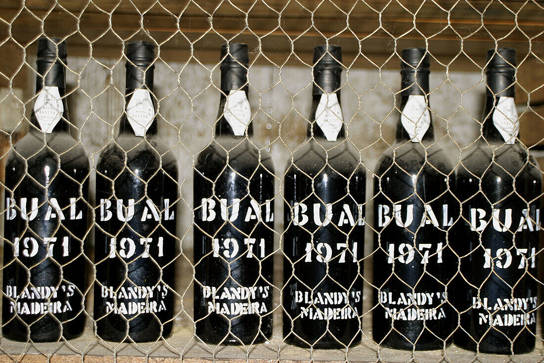Bual. Vintage Madeira wine bottles. The old Blandy wine lodge. Funchal. Madeira. Portugal.