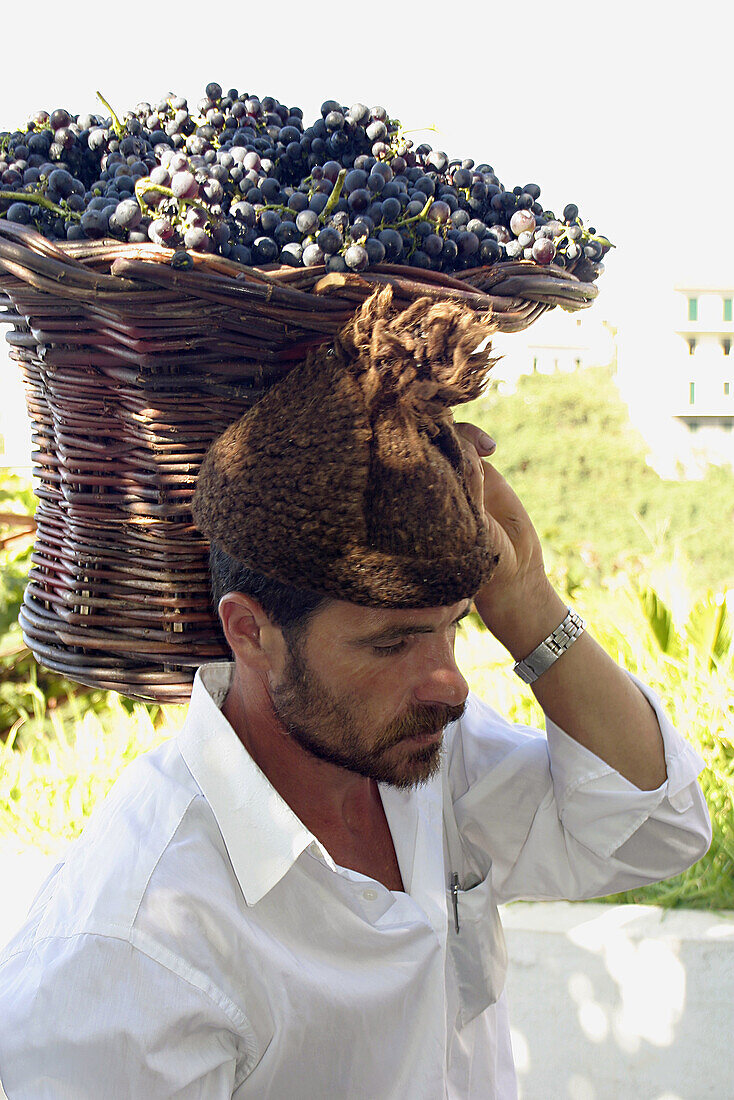 Man in traditional costume with typical grape basket. Festas das Vindimas (grape harvest festival). Estreito da Camara de Lobos. Madeira. Portugal.