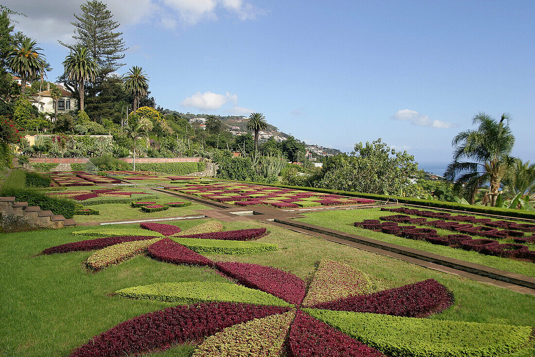 Botanical Garden. Funchal. Madeira. Portugal.