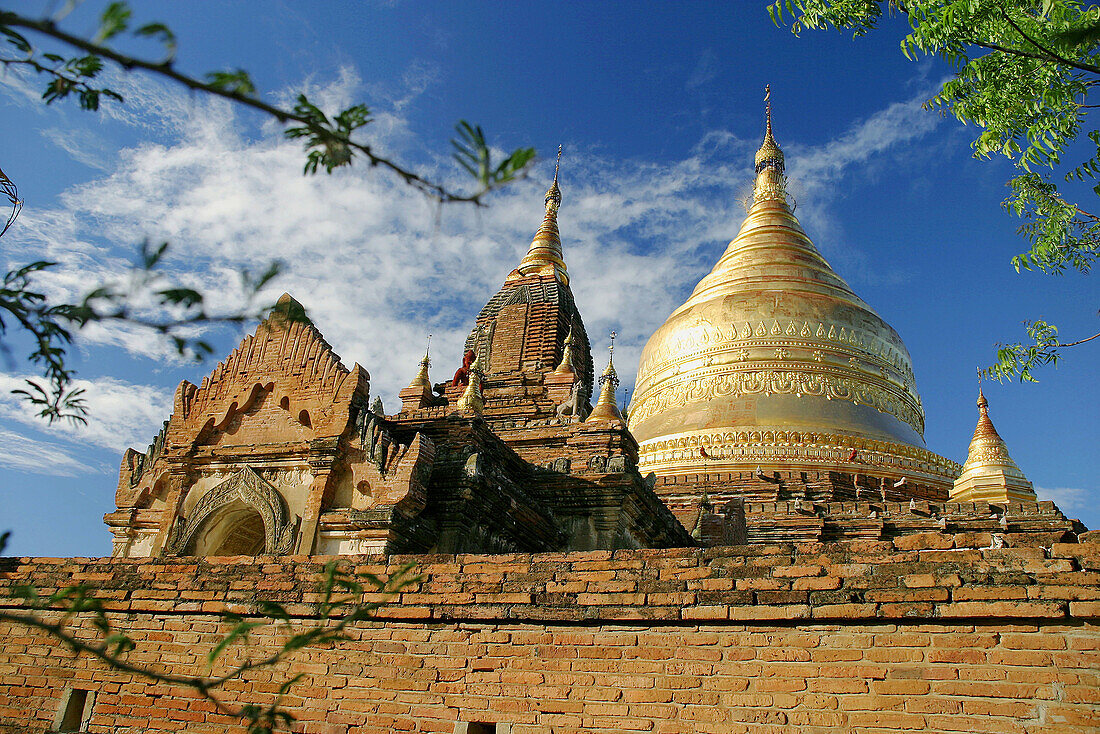 Dhamayazaka Zedi Stupa (1174-1211), Bagan archaeological zone. Myanmar