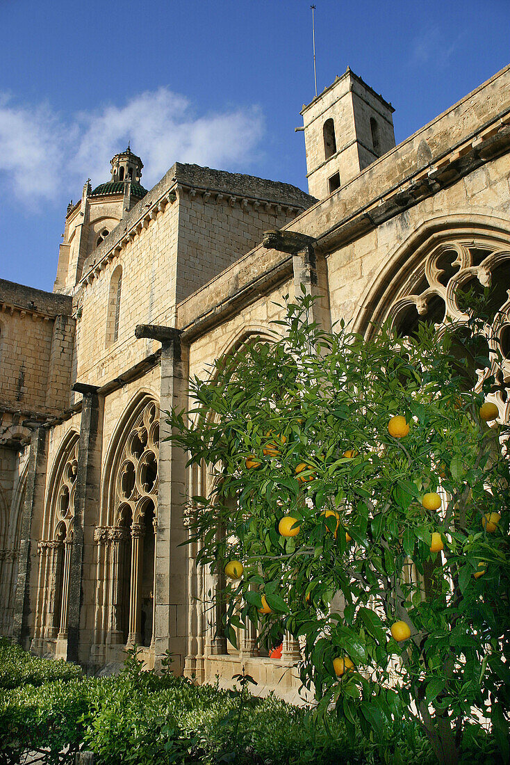 Cloister of Santes Creus Monastery. Cister route (XIII-XIVth century). Alt Camp. Tarragona province. Catalonia. Spain.