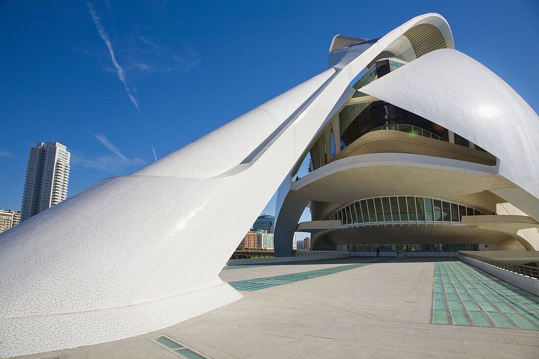 Palacio de las Artes Reina Sofía, City of Arts and Sciences by S. Calatrava. Valencia. Comunidad Valenciana, Spain