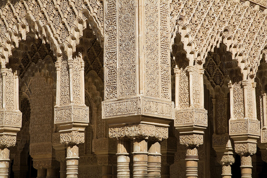 Detail of the Courtyard of the Lions, Alhambra. Granada. Andalusia. Spain