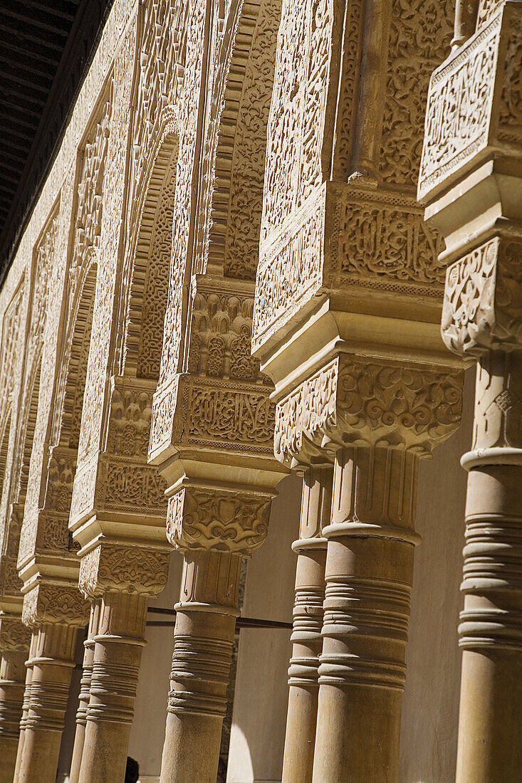 Detail of the Courtyard of the Lions, Alhambra. Granada. Andalusia. Spain