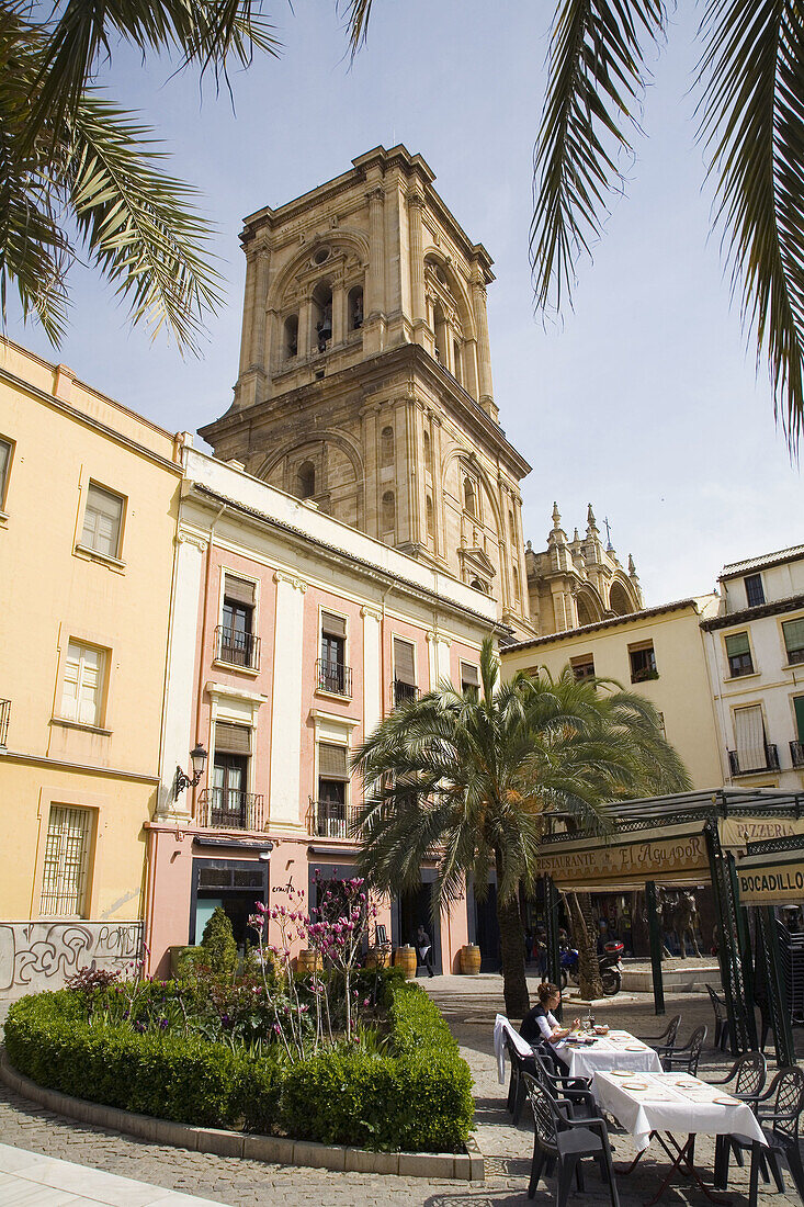 Cathedral tower and Romanilla Square. Granada. Andalusia. Spain