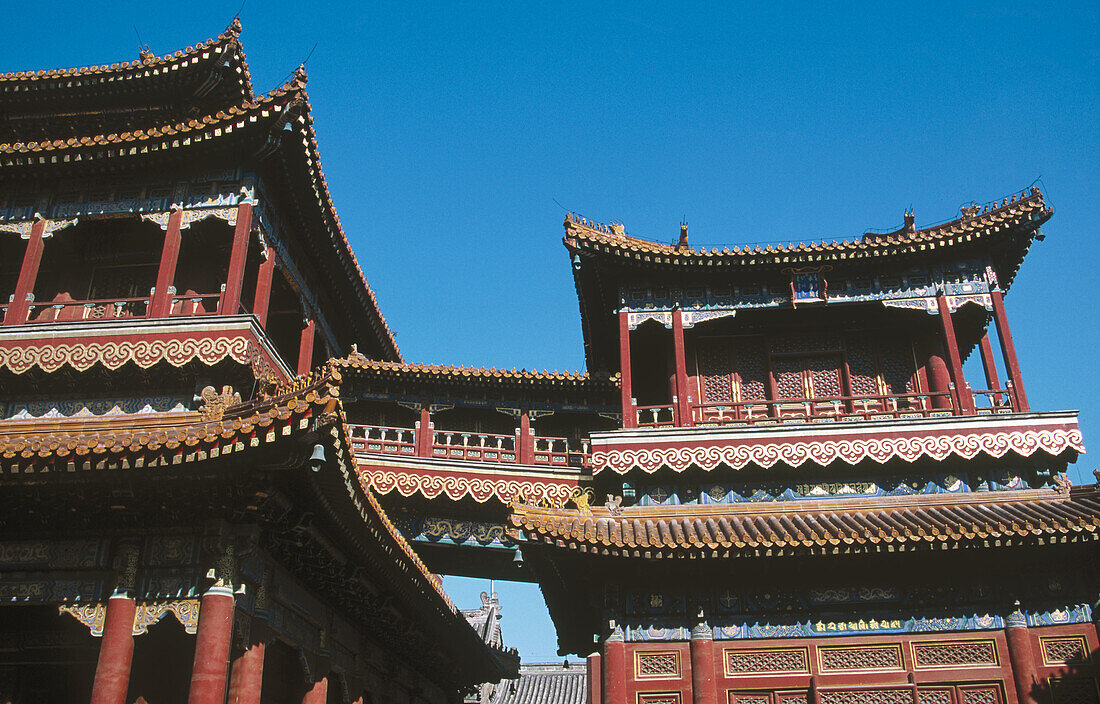 Yong he Gong, Lama Temple. Beijing. China