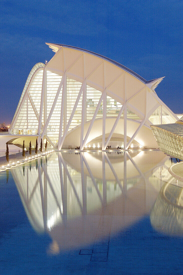 Príncipe Felipe museum of sciences, City of Arts and Sciences, by S. Calatrava. Valencia. Spain