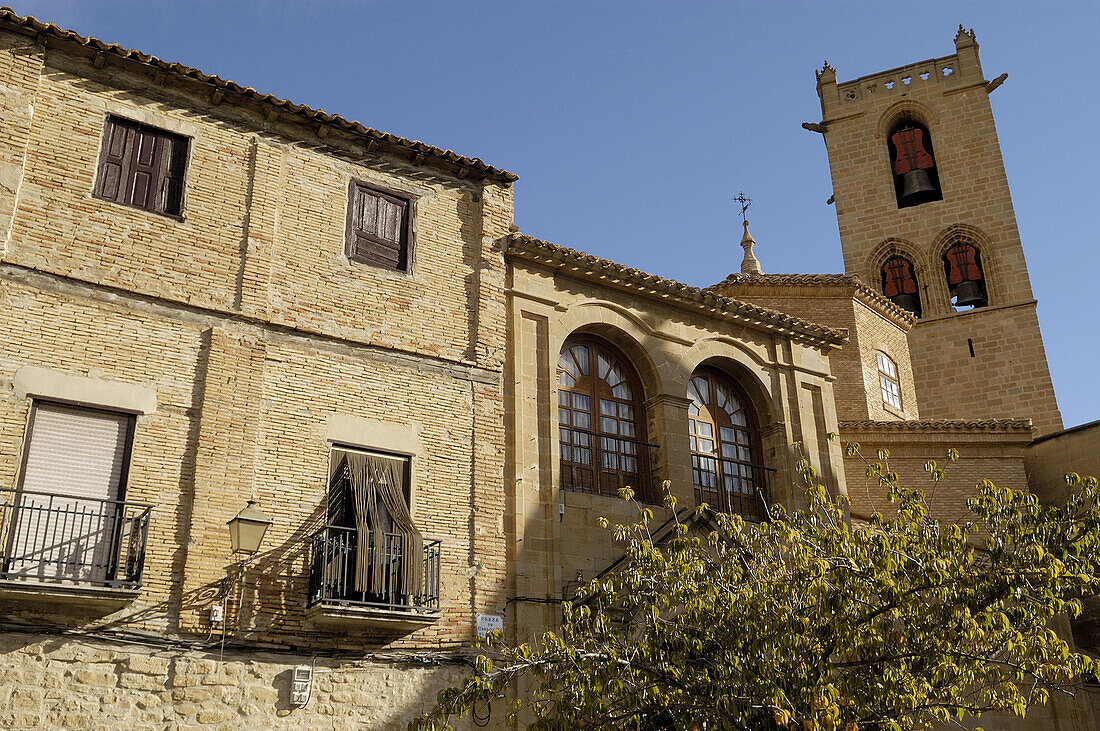 Olite castle. Navarra. Spain.