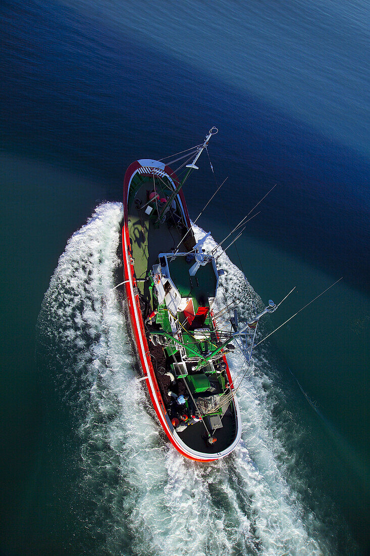 Fishing boat in the port of Algeciras. Cádiz province. Spain