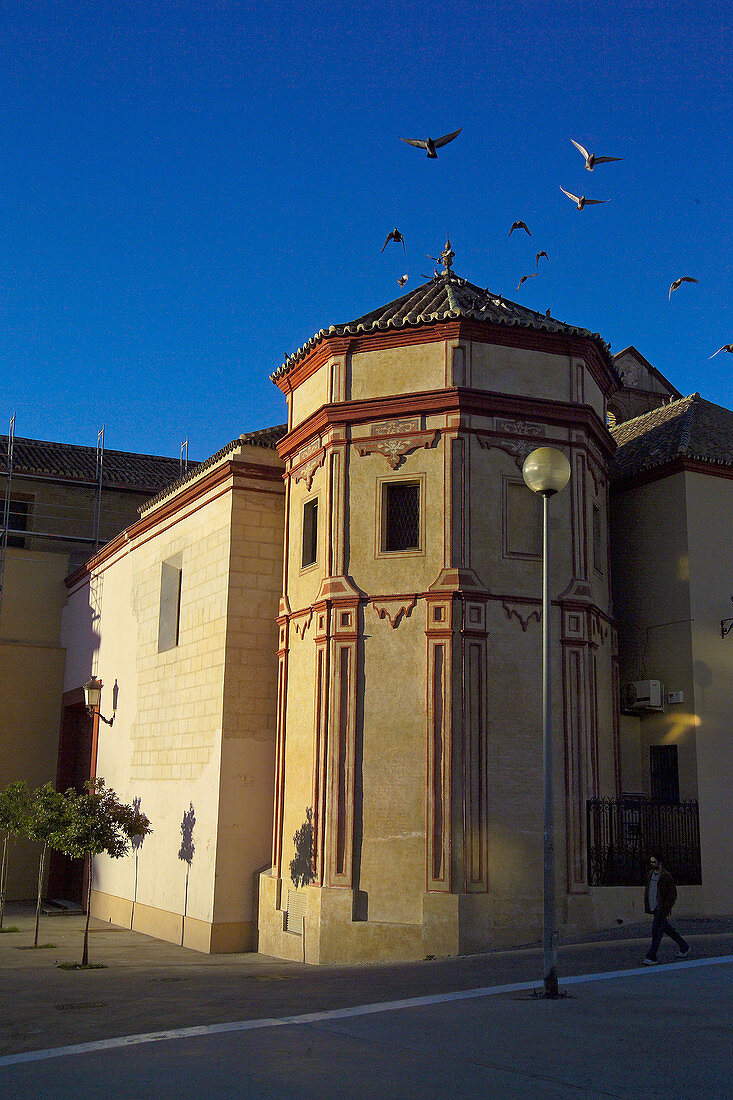 Malaga. Andalusia. Spain